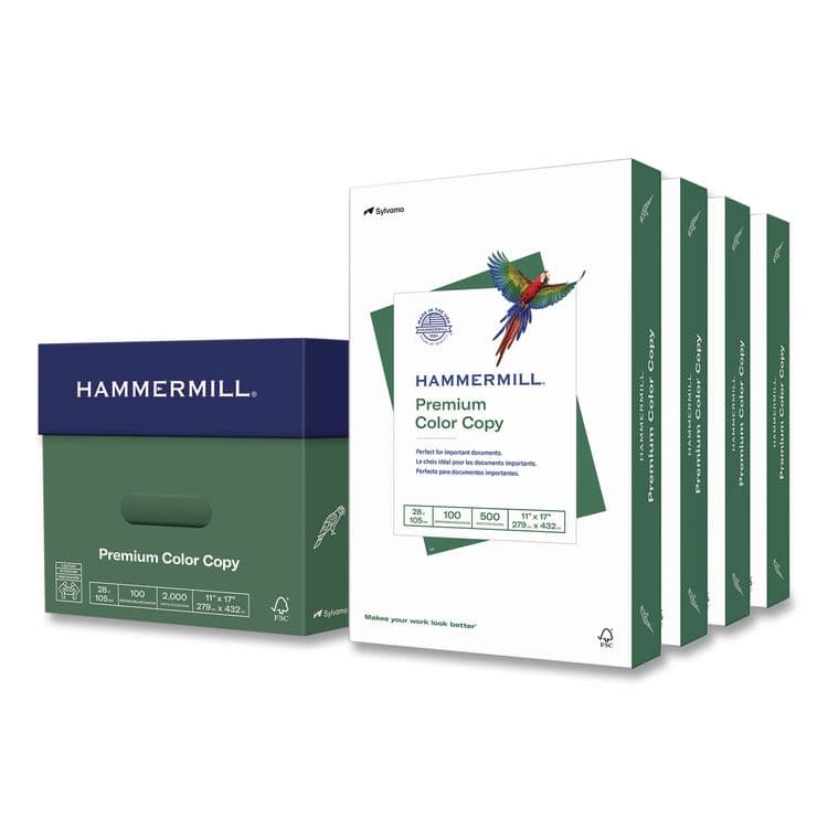 HAMMERMILL/HP EVERYDAY PAPERS Premium Color Copy Print Paper, 100 Bright, 28 lb Bond Weight, 11 x 17, Photo White, 500 Sheets/Ream, 4 Reams/Carton (HAM102541CT)