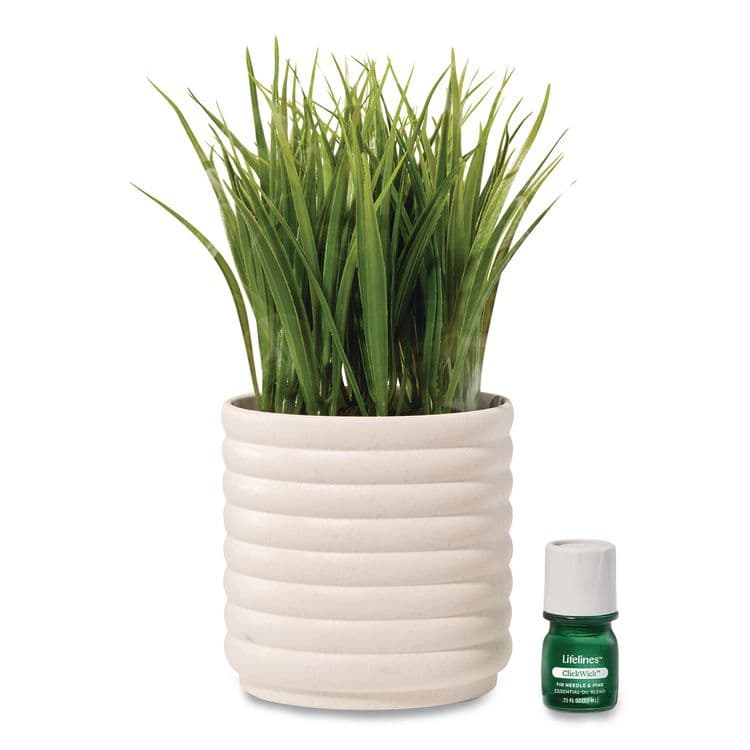 LIFELINES Evaporative Aromatherapy Essential Oil Grass Plant Diffuser with Fir Needle and Pine Essential Oil, 6.2 x 9.5, White/Green (LLN111608)
