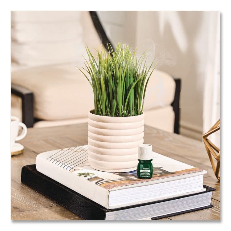 LIFELINES Evaporative Aromatherapy Essential Oil Grass Plant Diffuser with Fir Needle and Pine Essential Oil, 6.2 x 9.5, White/Green (LLN111608) thumbnail 2