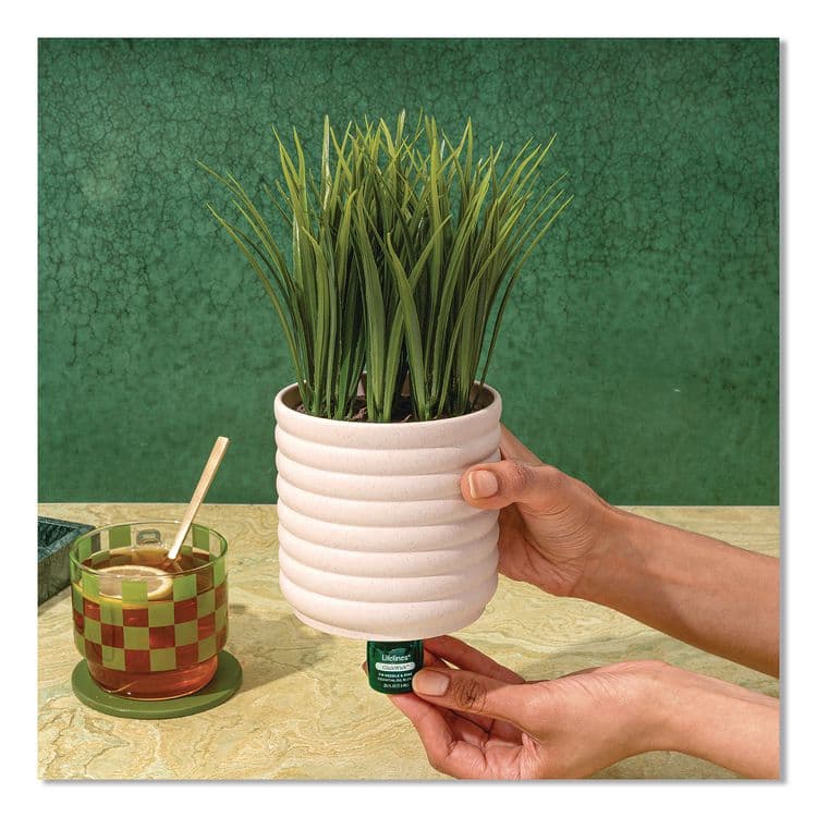 LIFELINES Evaporative Aromatherapy Essential Oil Grass Plant Diffuser with Fir Needle and Pine Essential Oil, 6.2 x 9.5, White/Green (LLN111608) thumbnail 3
