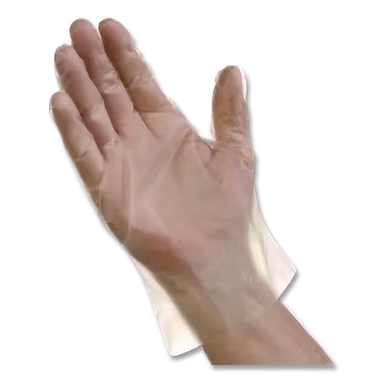 TRADEX INTERNATIONAL EconoFit Plus Polyethylene Gloves, Powder-Free, Large, Clear, 200/Box, 10 Boxes/Carton (TXIEFLG2000) thumbnail 2