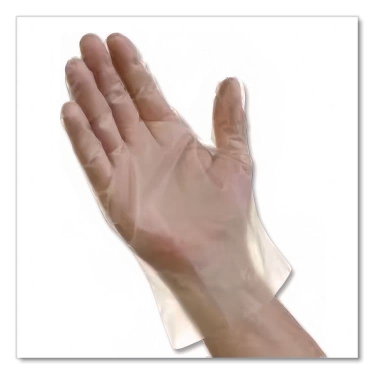 TRADEX INTERNATIONAL EconoFit Plus Polyethylene Gloves, Powder-Free, Medium, Clear, 200/Box, 10 Boxes/Carton (TXIEFMD2000) thumbnail 2