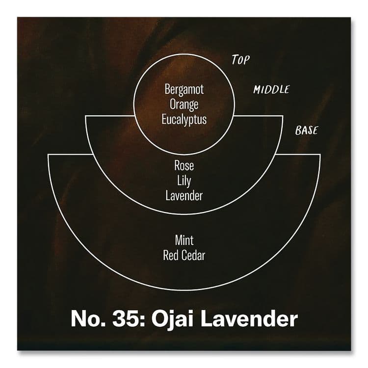 P.F. CANDLE CO. Ojai Lavender Soy Candle, 40 to 50 Hours Burn Time, 2.9 d x 3.5 h, 7.2 oz, Amber (PFRSC35) thumbnail 3