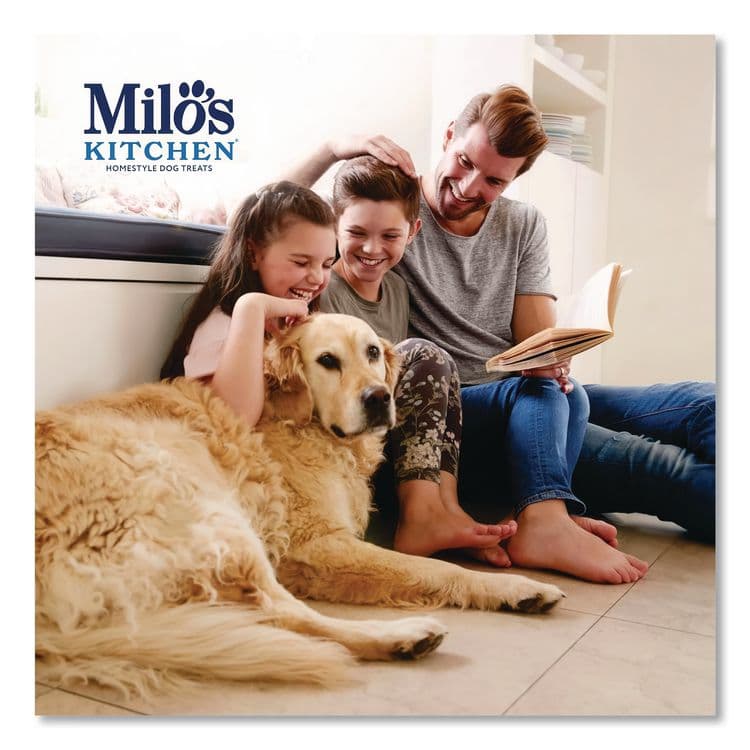 BIG HEART PET Homestyle Dog Treats, Beef Sausage Slices with Rice, 10 oz Pouch, 5 Pouches/Carton (SMU52775CS) thumbnail 4