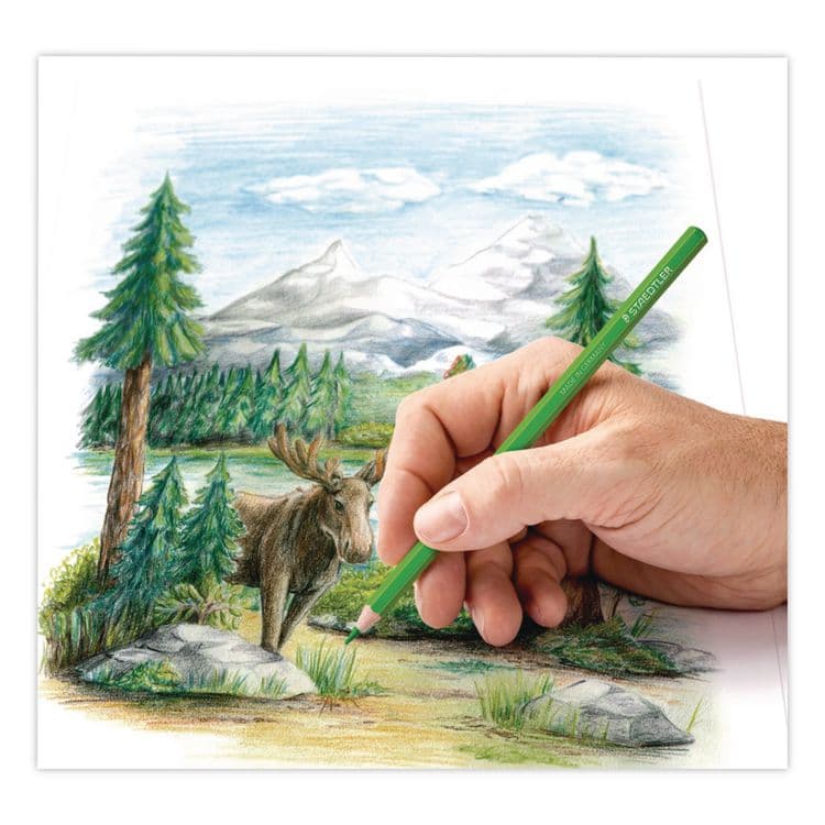 STAEDTLER, . Colored Pencils, 4 mm, Assorted Lead/Barrel Colors, 48/Set (STD1270C48A6) thumbnail 3