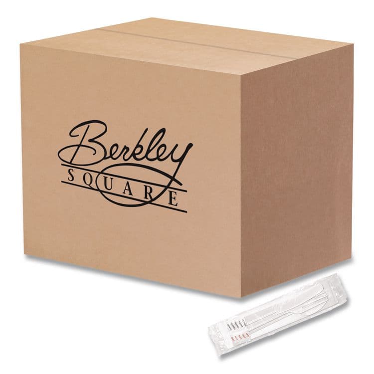 BERK ENTERPRISES Medium Heavyweight Cutlery Kit, Fork/Knife/Napkin/Pepper/Salt/Spoon, Plastic, White, 250/Carton (BSQ1181239)