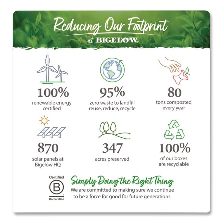 BIGELOW TEA CO. Single Flavor Tea, Decaffeinated Black, 48 Bags/Box (BTC00356) thumbnail 4