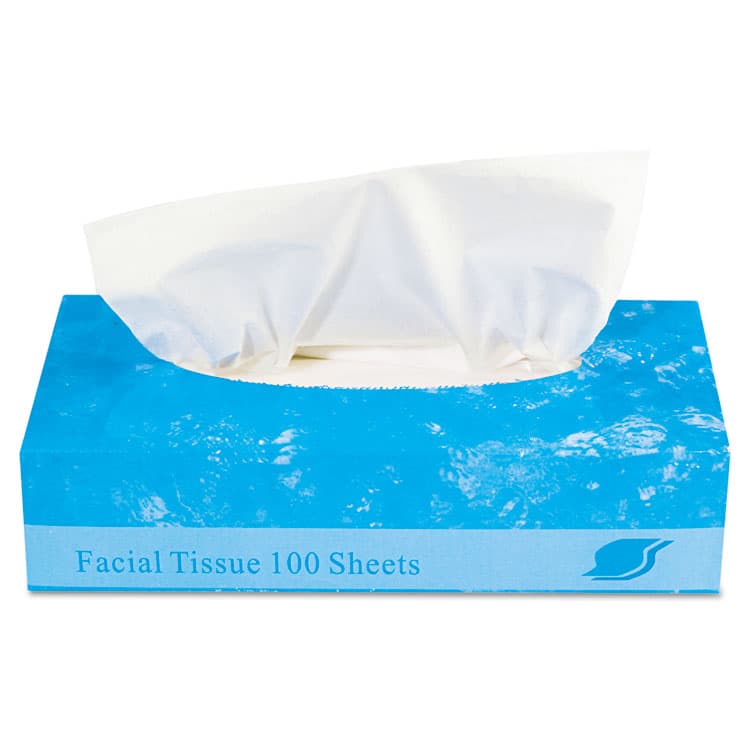 GEN Boxed Facial Tissue, 2-Ply, White, 100 Sheets/Box, 30 Boxes/Carton (GENFACIAL30100) thumbnail 2
