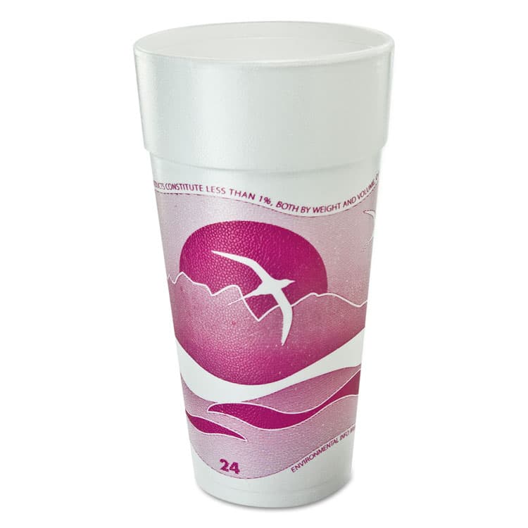 DART Horizon Hot/Cold Foam Drinking Cups, 24 oz, Mauve, 20/Bag, 25 Bags/Carton (DCC24J16H)