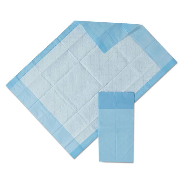 MEDLINE INDUSTRIES, . Protection Plus Disposable Underpads, 17 x 24, Blue, 25/Bag (MIIMSC281224C)