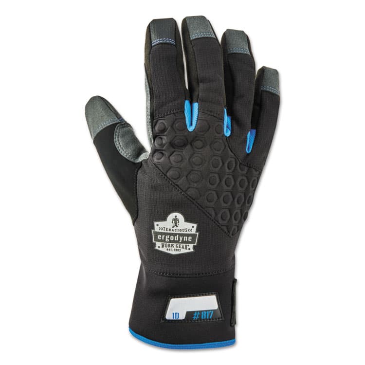 ERGODYNE CORPORATION Proflex 817 Reinforced Thermal Utility Gloves, EN388: 3423X, Large, Black, Pair (EGO17354)