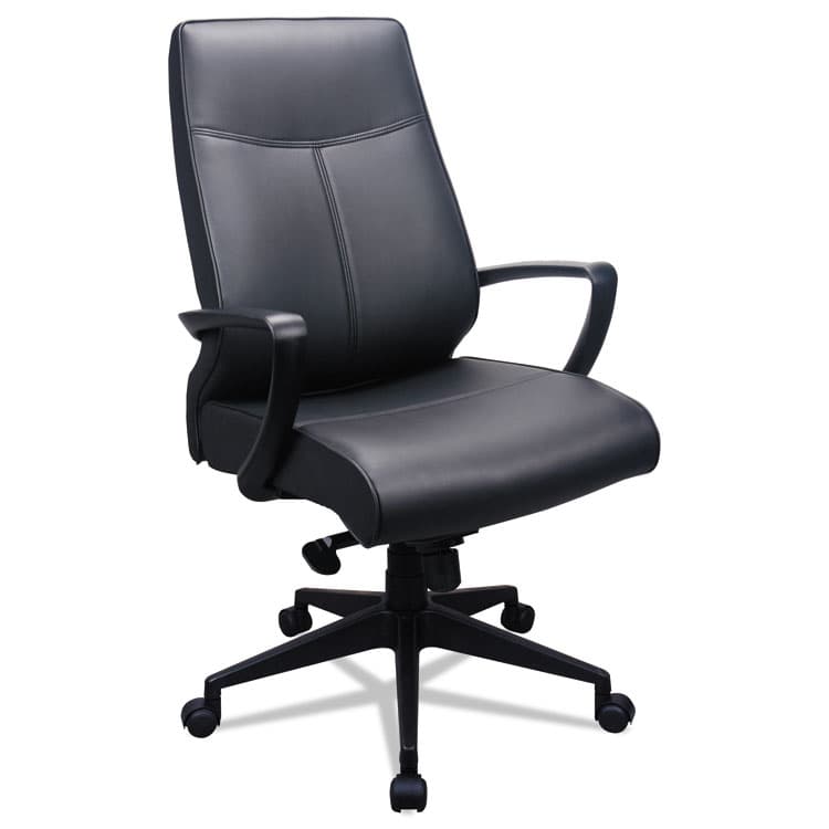 THE RAYNOR GROUP, . 300 Leather High-Back Chair, Supports Up to 250 lb, 19.57" to 22.56" Seat Height, Black (EUTTP300)