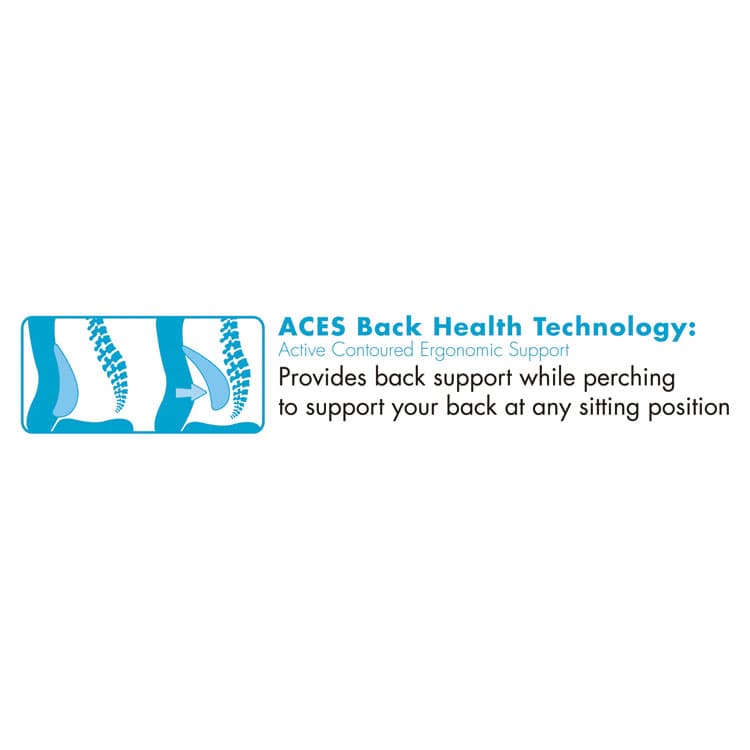 LF PRODUCTS PTE LTD Cosset Ergonomic Task Chair, Supports Up to 275 lb, 19.5" to 22.5" Seat Height, Gray Seat/Back, Black Base (SRJ48967B) thumbnail 2