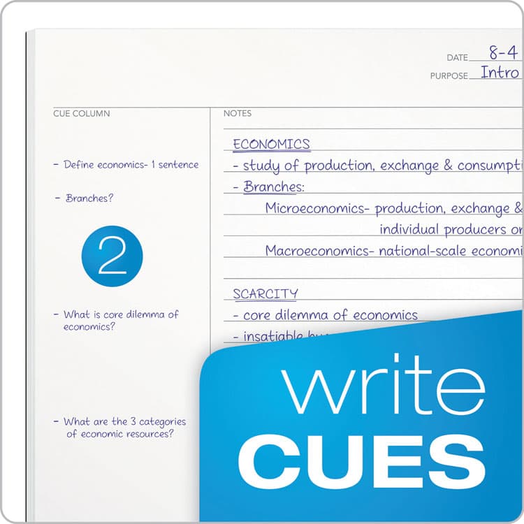 TOPS BUSINESS FORMS FocusNotes Steno Pad, Blue Cover, Pitman Rule, (80) White 6 x 9 Sheets (TOP90222) thumbnail 4
