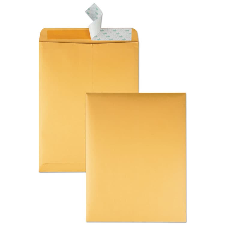 QUALITY PARK PRODUCTS Redi-Strip Catalog Envelope, #13 1/2, Cheese Blade Flap, Redi-Strip Adhesive Closure, 10 x 13, Brown Kraft, 100/Box (QUA44762)