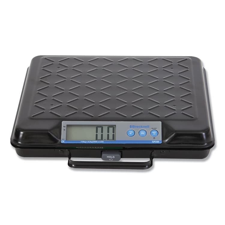 SALTER BRECKNELL Portable Electronic Utility Bench Scale, 250 lb Capacity, 12.5 x 10.95 x 2.2 Platform (SBWGP250)
