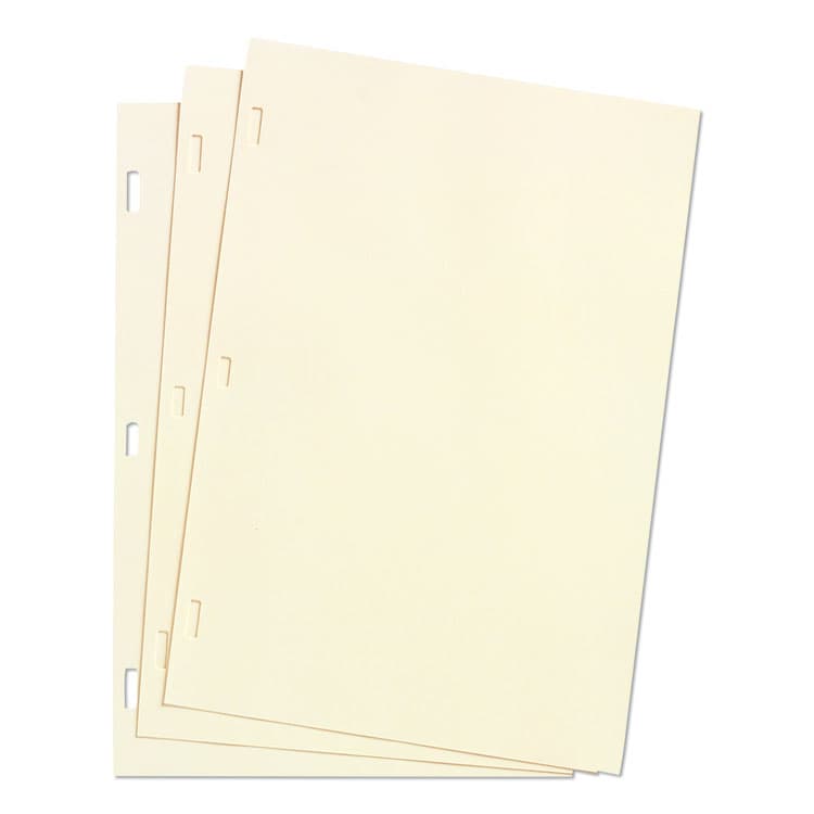 WILSON JONES CO. Looseleaf Minute Book Ledger Sheets, 11 x 8.5, Ivory, Loose Sheet, 100/Box (WLJ90110)