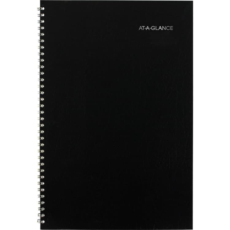 AT-A-GLANCE DayMinder Monthly Planner, Academic Year, Ruled Blocks, 12 x 8, Black Cover, 14-Month: July 2025 to Aug 2026 (AAGAY200) thumbnail 3