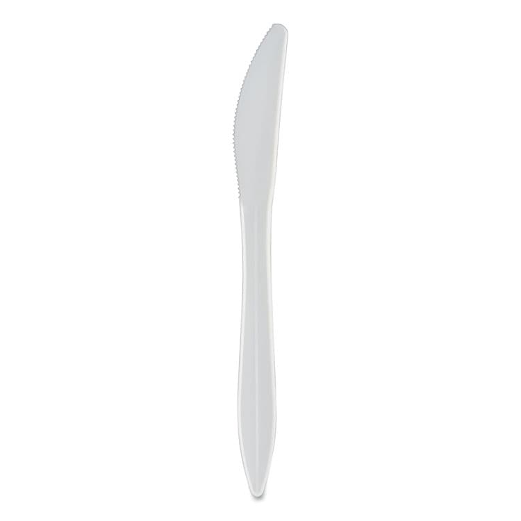 BERK ENTERPRISES Mediumweight Polypropylene Cutlery, Knife, Plastic, White, 1,000/Carton (BSQ1011000)