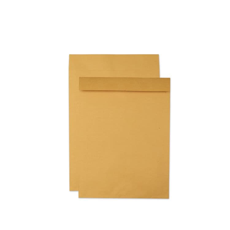 QUALITY PARK PRODUCTS Jumbo Size Kraft Envelope, Cheese Blade Flap, Fold-Over Closure, 17 x 22, Brown Kraft, 25/Pack (QUA42356)