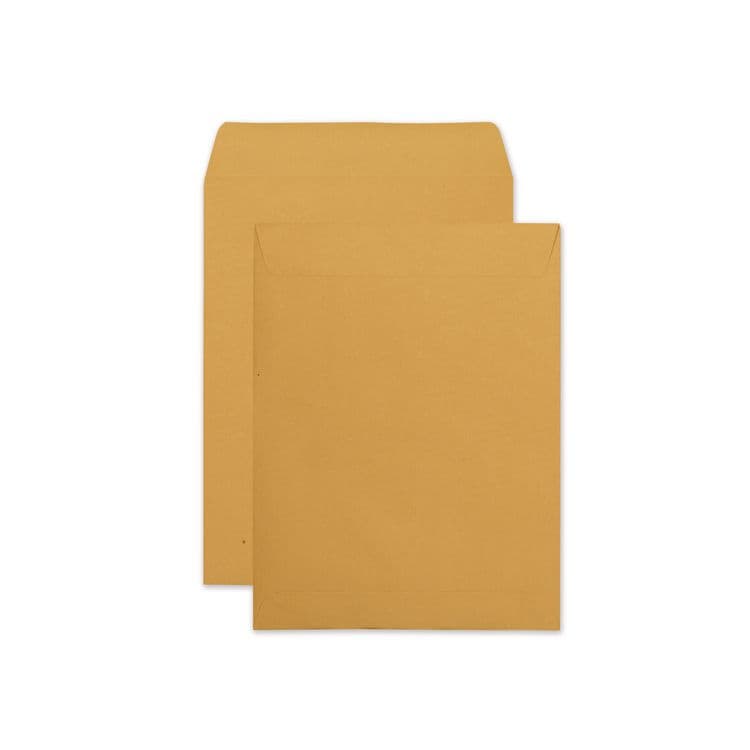 QUALITY PARK PRODUCTS Redi-Seal Catalog Envelope, #12 1/2, Cheese Blade Flap, Redi-Seal Adhesive Closure, 9.5 x 12.5, Brown Kraft, 250/Box (QUA43662)