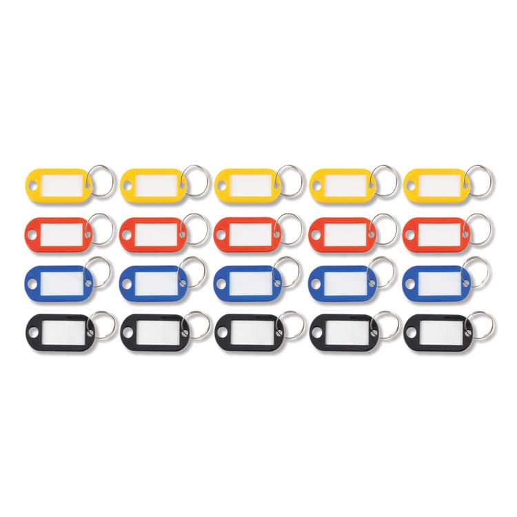 ADVANTUS CORPORATION Key Tags Label Window, 0.88 x 0.19 x 2, Assorted, 20/Pack (AVTKEY98007)