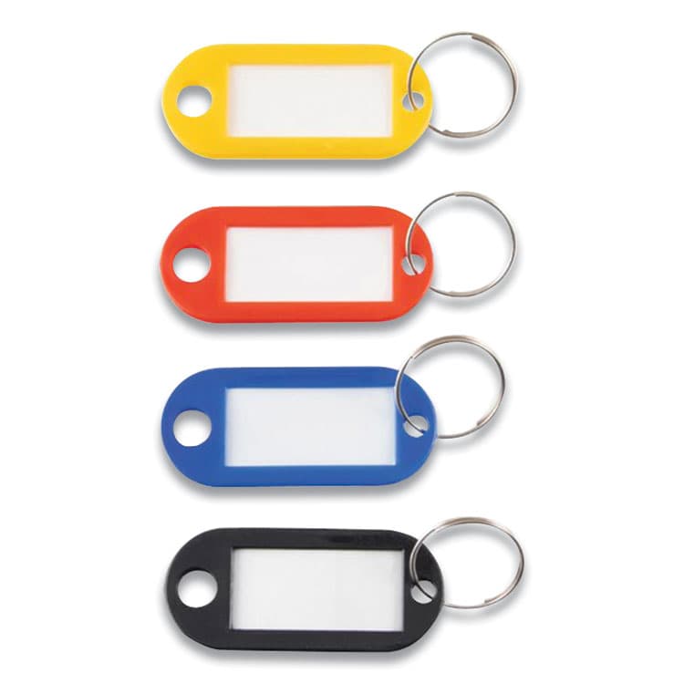 ADVANTUS CORPORATION Key Tags Label Window, 0.88 x 0.19 x 2, Assorted, 20/Pack (AVTKEY98007) thumbnail 2