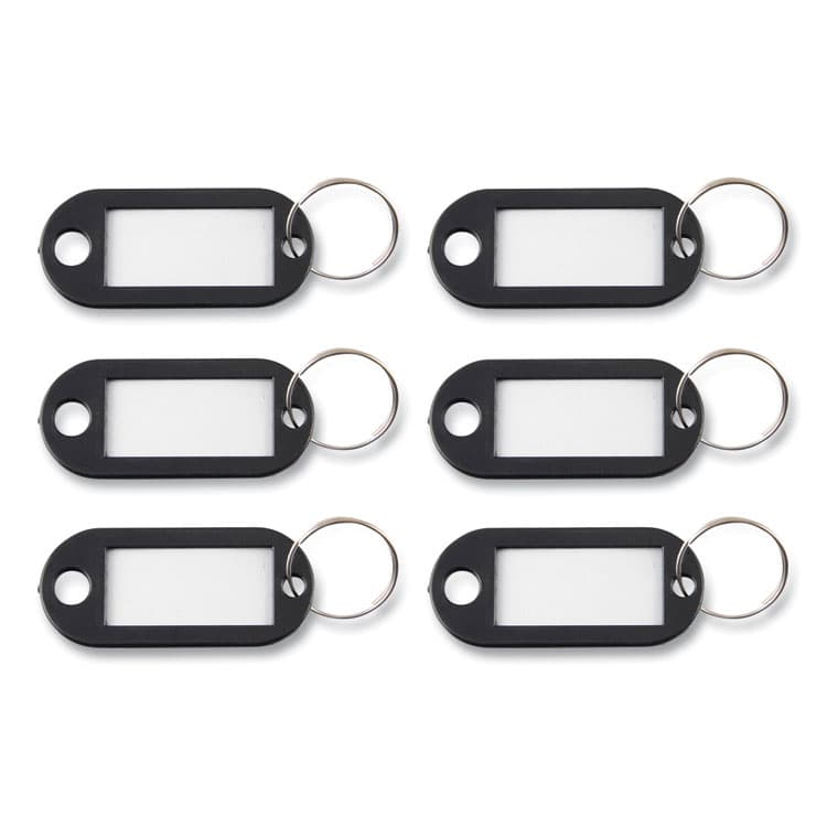 ADVANTUS CORPORATION Key Tags Label Window, 0.88 x 0.19 x 2, Black, 6/Pack (AVTKEY98017)