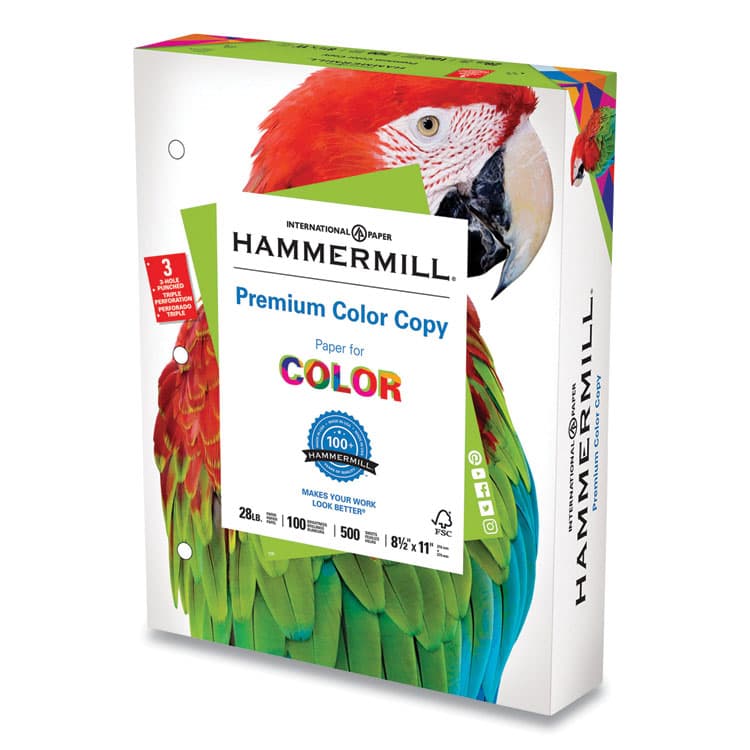 HAMMERMILL/HP EVERYDAY PAPERS Premium Color Copy Print Paper, 100 Bright, 3-Hole, 28 lb Bond Weight, 8.5 x 11, Photo White, 500 Sheets/Ream, 8 Reams/Carton (HAM102500)