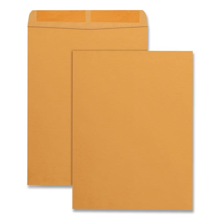 QUALITY PARK PRODUCTS Catalog Envelope, 28 lb Bond Weight Kraft, #13 1/2, Square Flap, Gummed Closure, 10 x 13, Brown Kraft, 100/Box (QUA41667)