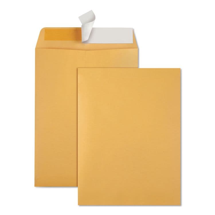 QUALITY PARK PRODUCTS Redi-Strip Catalog Envelope, #10 1/2, Cheese Blade Flap, Redi-Strip Adhesive Closure, 9 x 12, Brown Kraft, 100/Box (QUA44562)