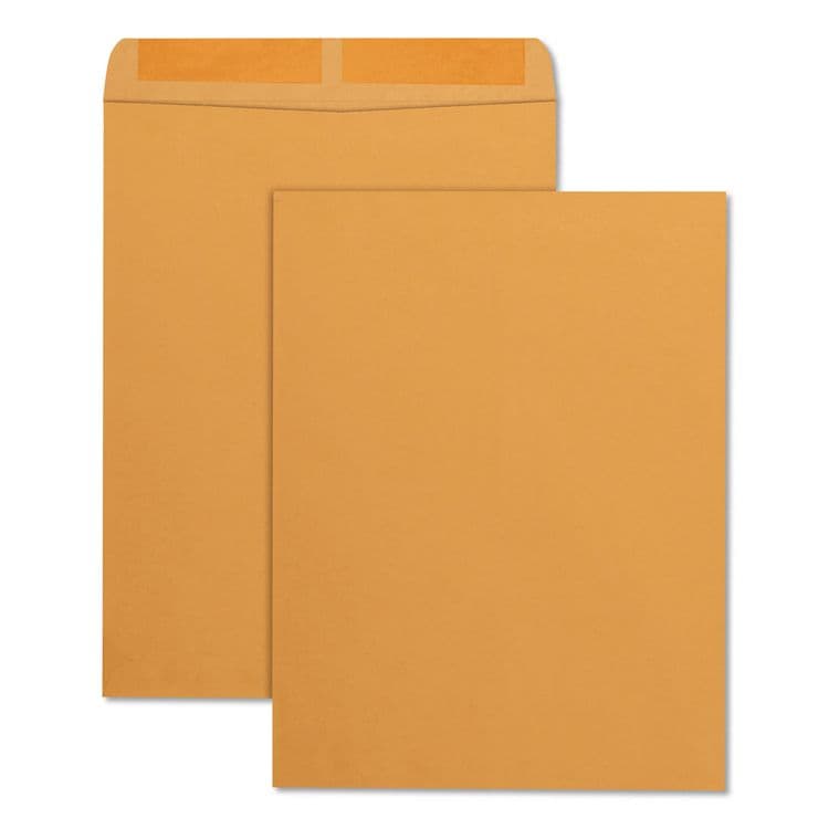 QUALITY PARK PRODUCTS Catalog Envelope, 28 lb Bond Weight Kraft, #13 1/2, Square Flap, Gummed Closure, 10 x 13, Brown Kraft, 250/Box (QUA41665)