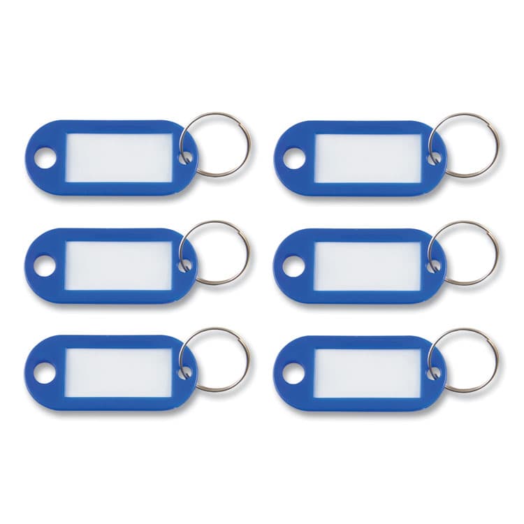 ADVANTUS CORPORATION Key Tags Label Window, 0.88 x 0.19 x 2, Dark Blue, 6/Pack (AVTKEY98019)