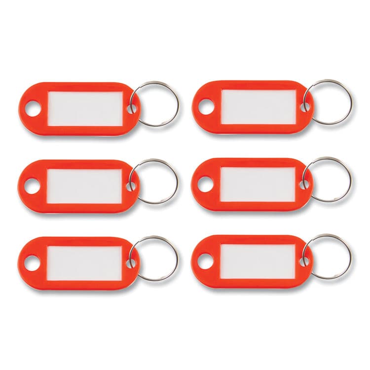 ADVANTUS CORPORATION Key Tags Label Window, 0.88 x 0.19 x 2, Red, 6/Pack (AVTKEY98018)