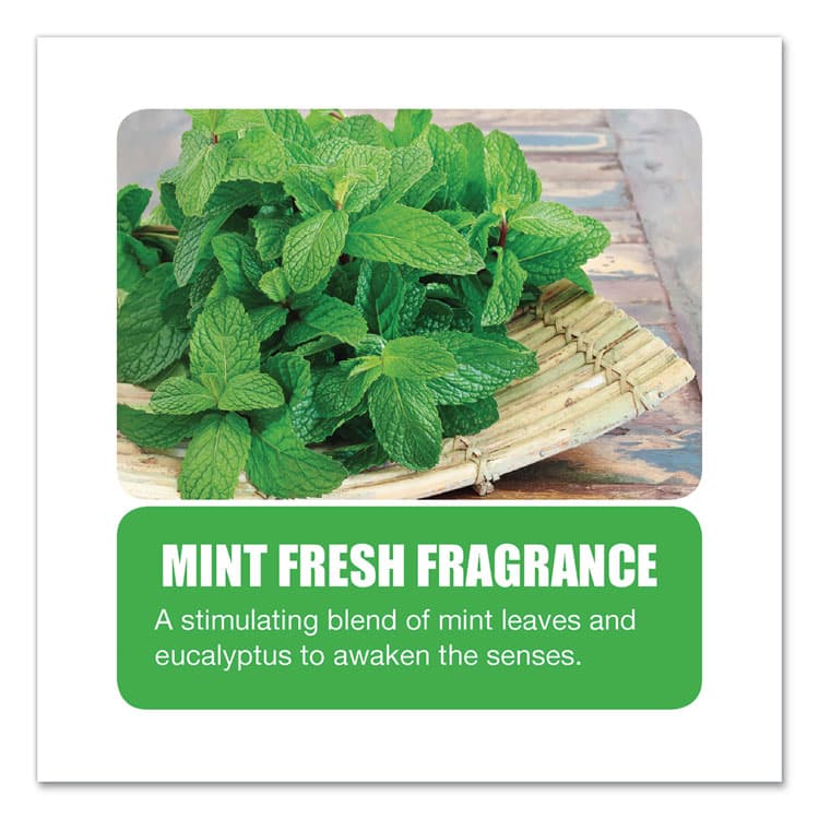 BIG D Enzym D Digester Deodorant, Mint, 1 gal, Bottle, 4/Carton (BGD1504) thumbnail 4