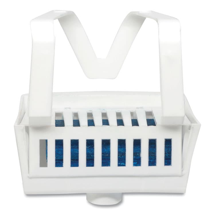 BIG D Non-Para Toilet Bowl Block, Lasts 30 Days, Evergreen Scent, White, 12/Box (BGD661)