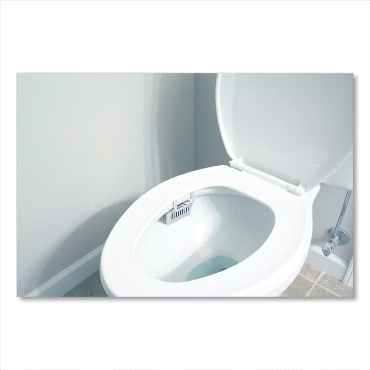 BIG D Non-Para Toilet Bowl Block, Lasts 30 Days, Evergreen Scent, White, 12/Box (BGD661) thumbnail 4