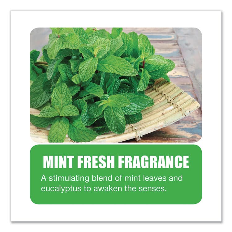 BIG D Enzym D Digester Deodorant, Mint, 32 oz Bottle, 12/Carton (BGD504) thumbnail 4