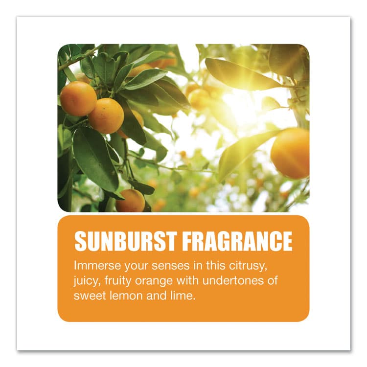 BIG D Metered Concentrated Room Deodorant, Sunburst Scent, 7 oz Aerosol Spray, 12/Carton (BGD464) thumbnail 4