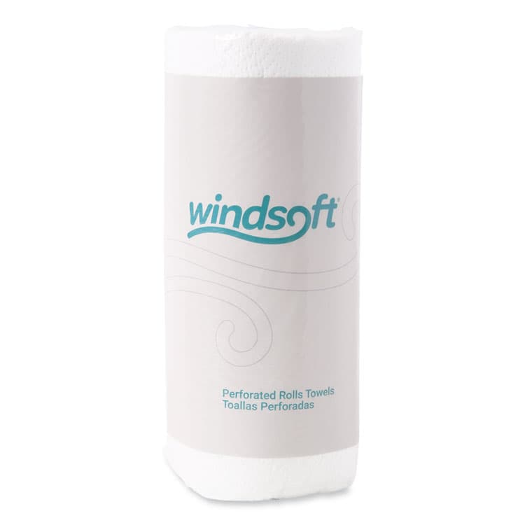 WINDSOFT Kitchen Roll Towels, 2-Ply, 11 x 8.8, White, 100/Roll, 30 Rolls/Carton (WIN1220CT)