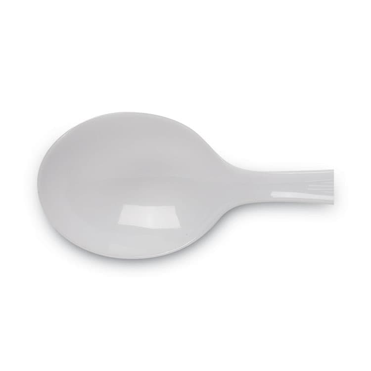 DIXIE FOOD SERVICE Plastic Cutlery, Heavyweight Soup Spoon, White, 100/Box, 10 Boxes/Carton (DXESH207CT) thumbnail 4