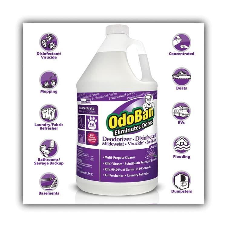 CLEAN CONTROL CORPORATION Concentrate Odor Eliminator and Disinfectant, Lavender Scent, 1 gal Bottle, 4/Carton (ODO911162G4) thumbnail 4