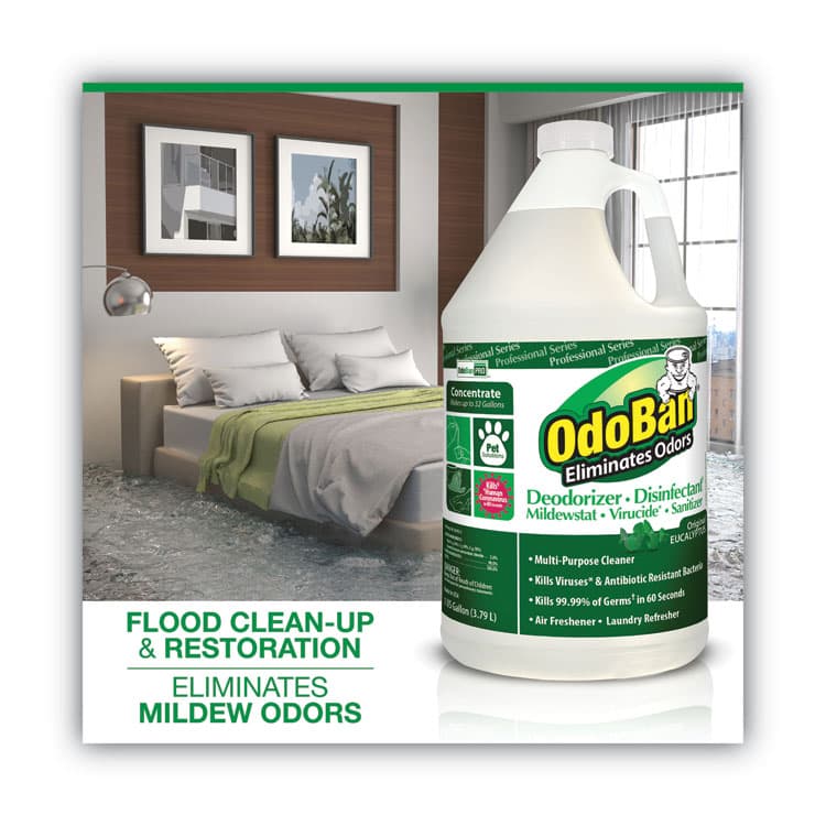 CLEAN CONTROL CORPORATION Concentrated Odor Eliminator and Disinfectant, Eucalyptus, 1 gal Bottle (ODO911062G4EA) thumbnail 2
