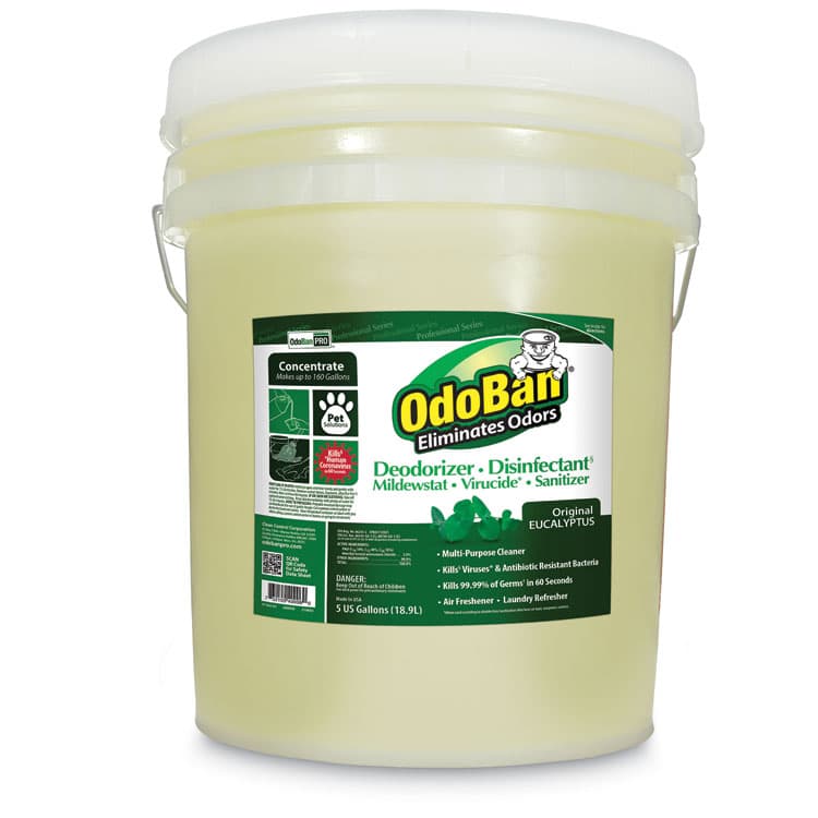 CLEAN CONTROL CORPORATION Concentrated Odor Eliminator and Disinfectant, Eucalyptus, 5 gal Pail (ODO9110625G)