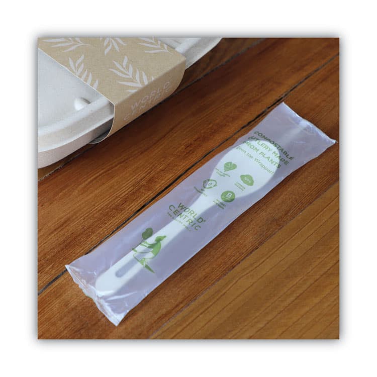 WORLD CENTRIC TPLA Wrapped Cutlery, Spoon, Plastic, Light Beige, 750/Carton (WORSPPSI) thumbnail 3