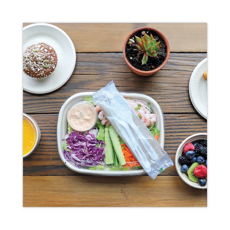 WORLD CENTRIC TPLA Wrapped Cutlery, Fork/Knife/Napkin/Spoon, Plastic, Light Beige, 250/Carton (WORASPSTN) thumbnail 2