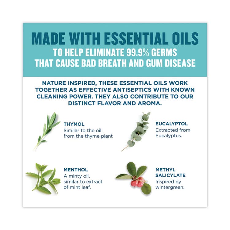 JOHNSON & JOHNSON Listerine Cool Mint Mouthwash, 1 L Bottle (PFI42735) thumbnail 3