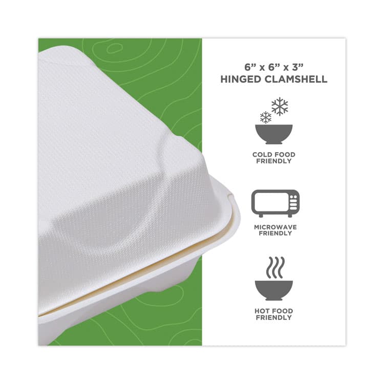 ECO-PRODUCTS,INC. Molded Fiber Hinged Clamshell Containers, 6 x 6 x 3, White, Sugarcane, 50/Pack, 10 Packs/Carton (ECOEPHC6) thumbnail 4