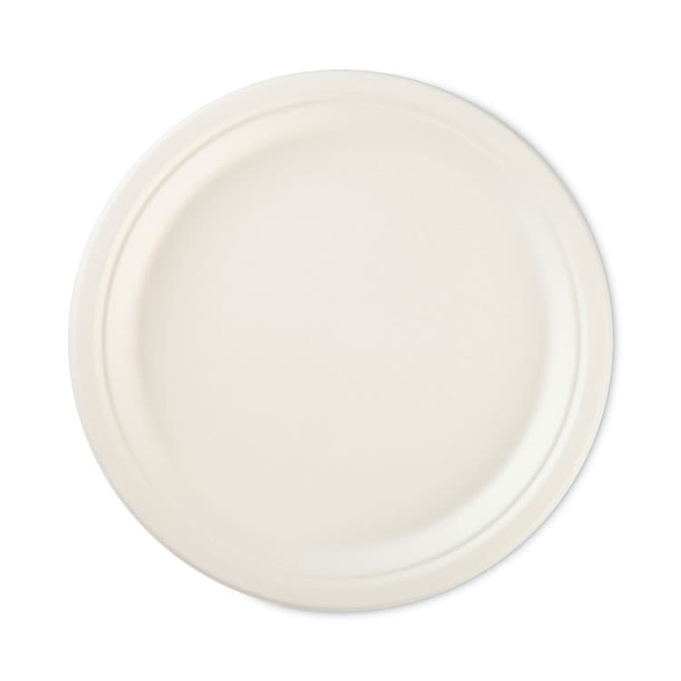 REYNOLDS FOOD PACKAGING ECOSAVE Tableware, Plate, Sugarcane, 10.13" dia, White, 16/Pack (RFPD71016PK) thumbnail 4