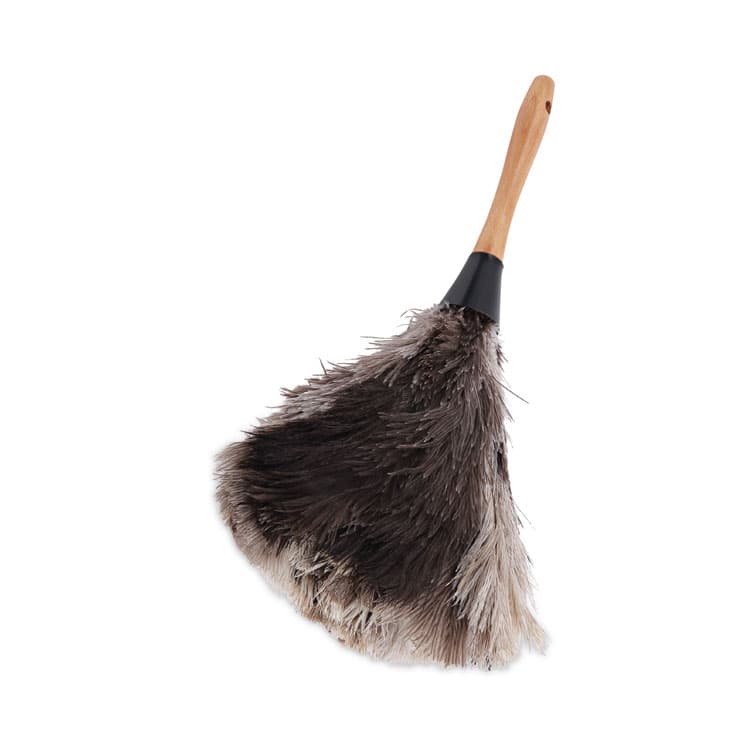 BOARDWALK Professional Ostrich Feather Duster, 7" Wood Handle (BWK13FD)